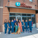 434 Dentistry - Dr. Fabiola Camacho DDS